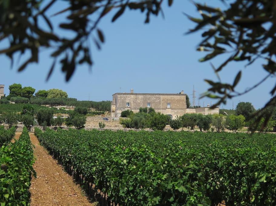 Villa Masseria Angiulli Piccolo Contrada Angiulli 74023 Grottaglie à Villa Castelli Extérieur photo